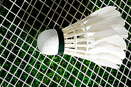 面对欧冠淘 面对欧冠淘