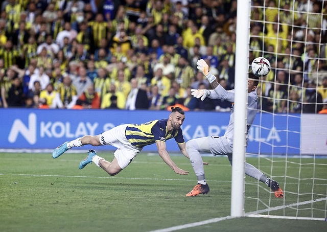 以载入史册 以载入史册