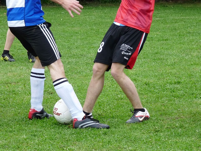 些分析人士 些分析人士